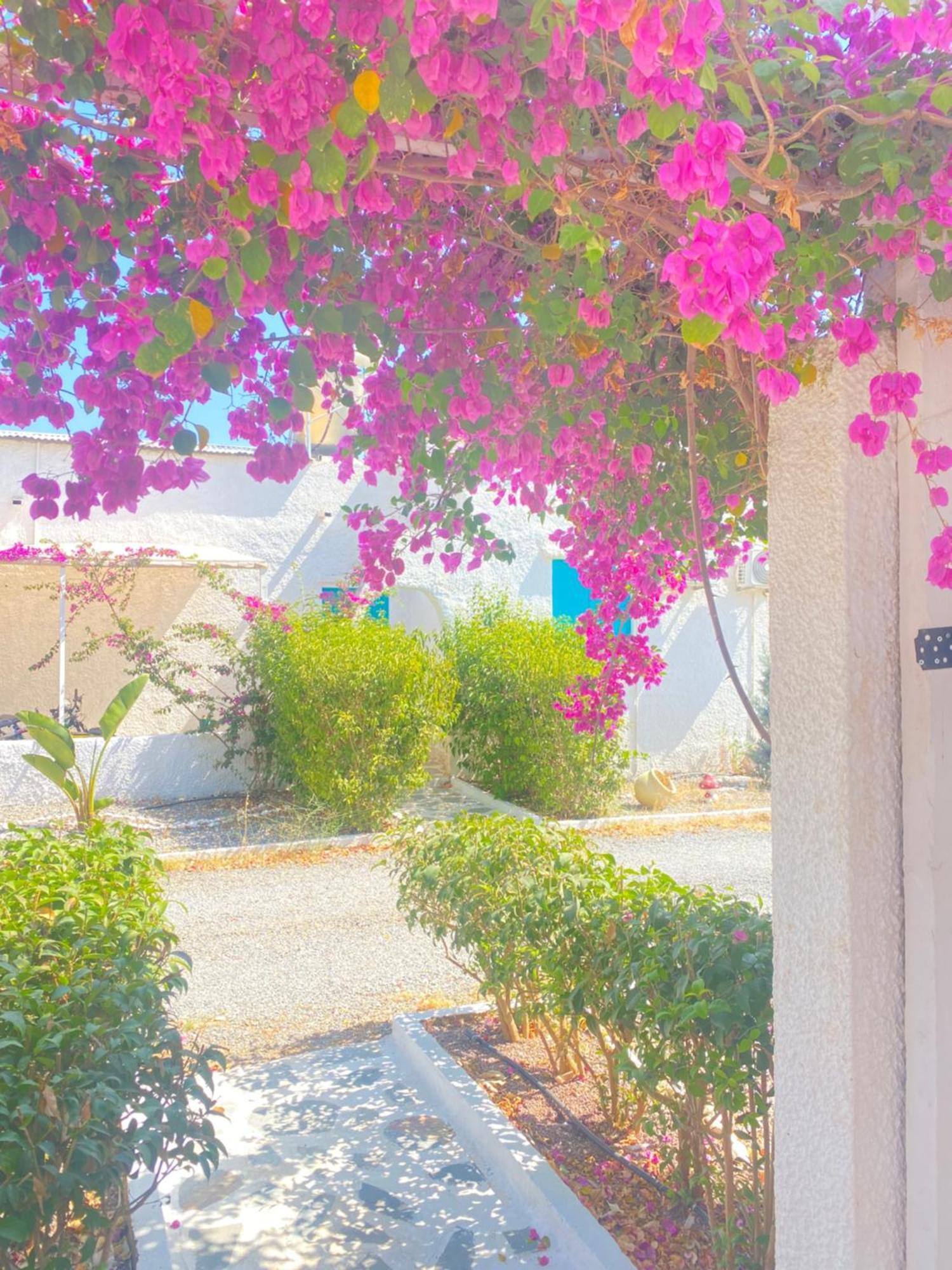 Peaceful Cottage House - Private Garden Analipsis  Exterior photo